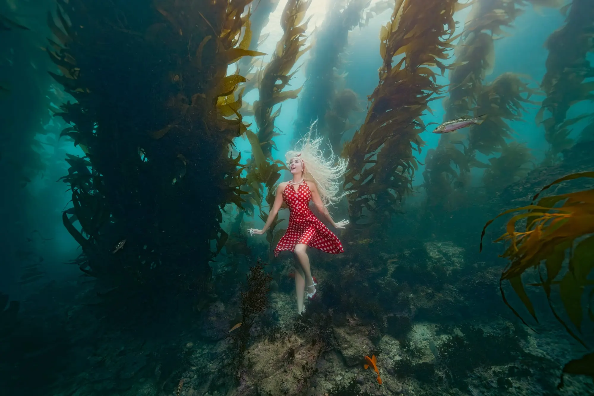 A woman in a red polka-dot dress and pearls floats upright in a giant kelp forest, her blonde hair fanned above her and sunlight coming down between the stalks.