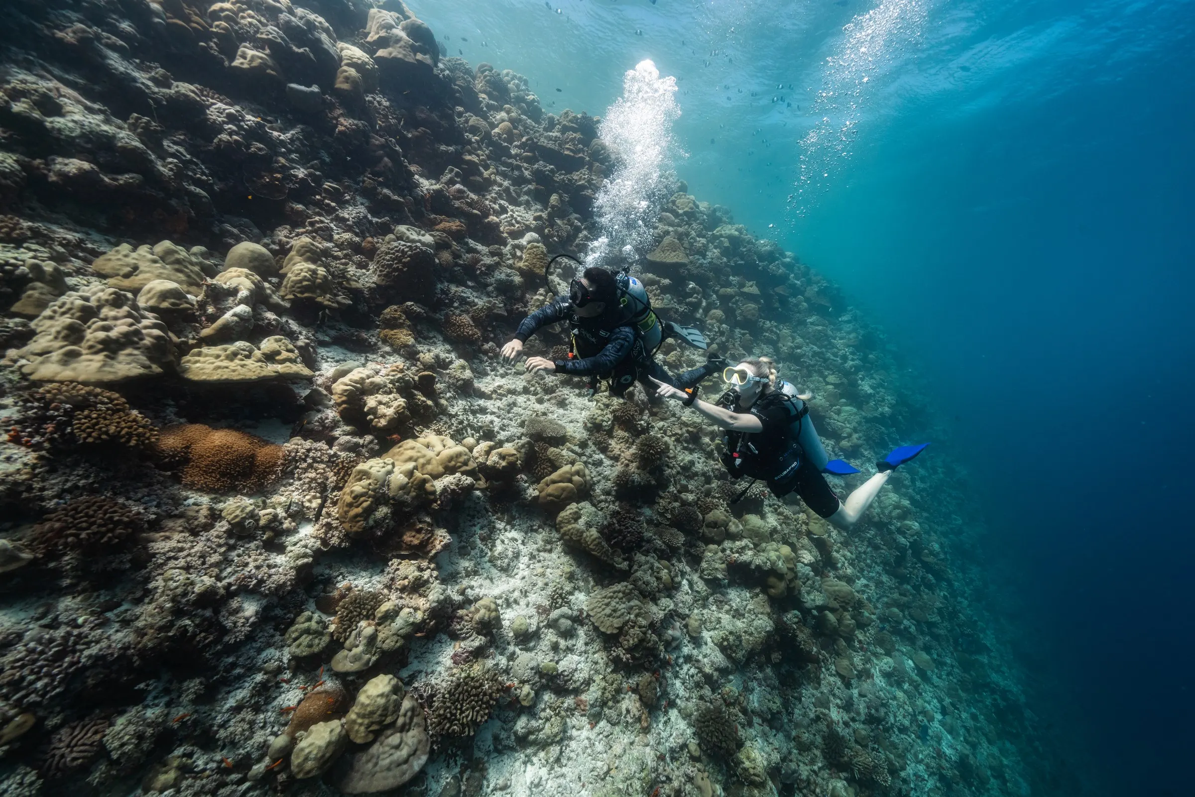 A scuba instructor and a student in a yellow-framed mask swim side by side along a steep coral reef wall, a column of bubbles rising behind them